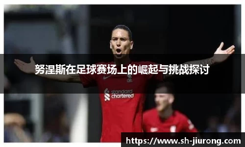 努涅斯在足球赛场上的崛起与挑战探讨